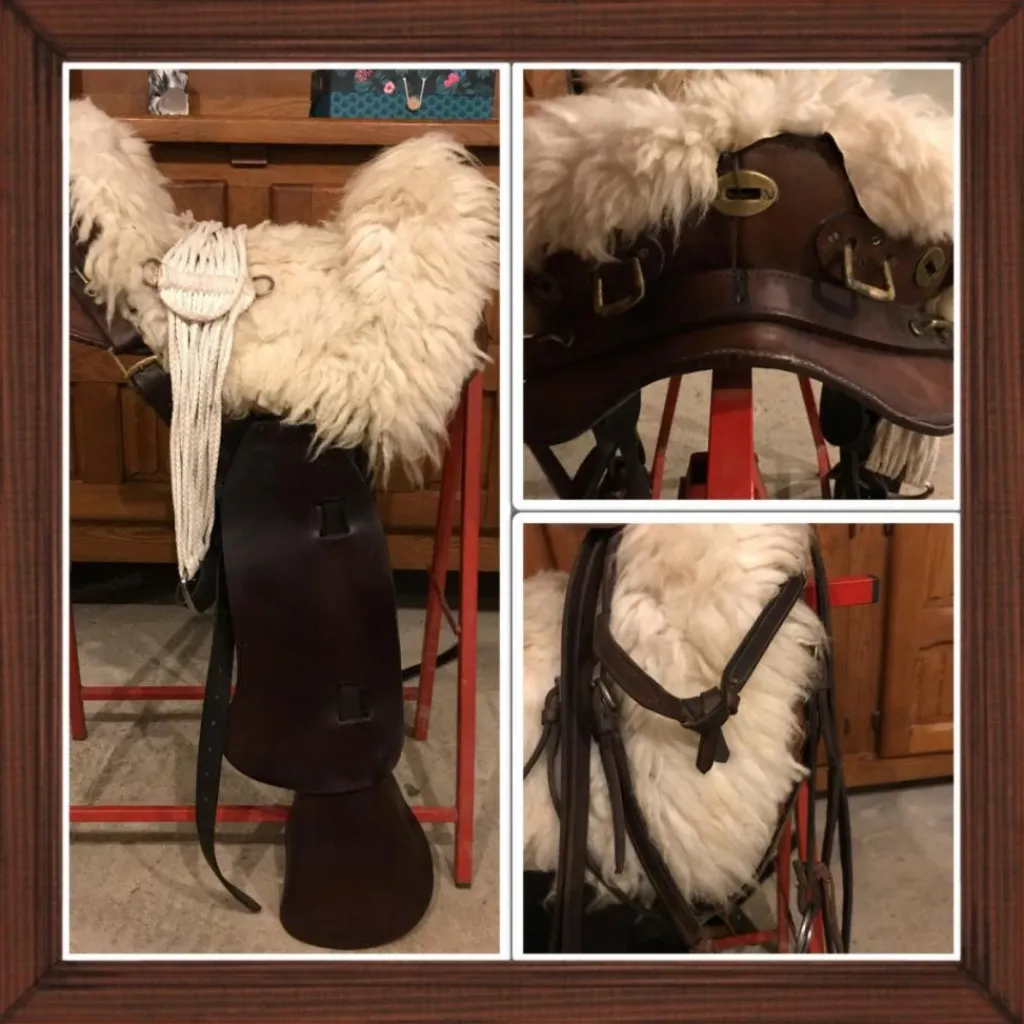 - Marque inconnue - Autres Selles (Amazone, Barefoot, Australienne...)>Selle américaine Cheval