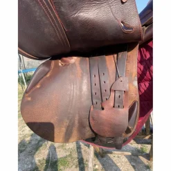 Antares Selles Mixtes><noscript><img width=