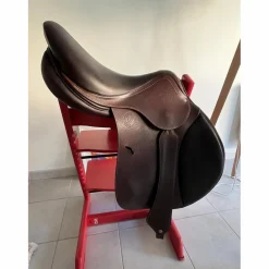 Selle*Antares Online