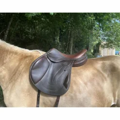 Antares Selles Mixtes>selle