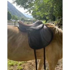 Antares Selles Mixtes>selle