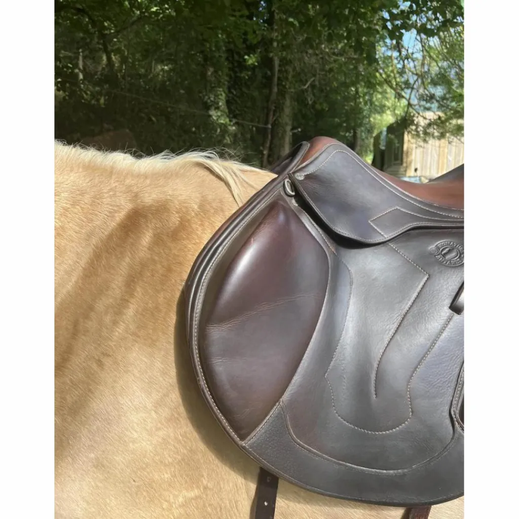 Antares Selles Mixtes>selle