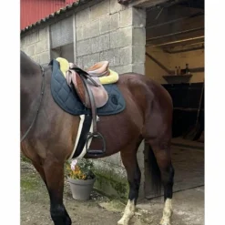 Antares Selles D'Obstacle><noscript><img width=