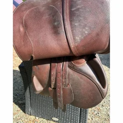 Antares Selles Mixtes><noscript><img width=