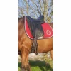 Antares Selles De Dressage>selle 17,5