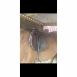 Selle 2016 17,5*Antares Best