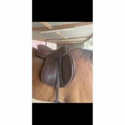 Selle 2016 17,5*Antares Best