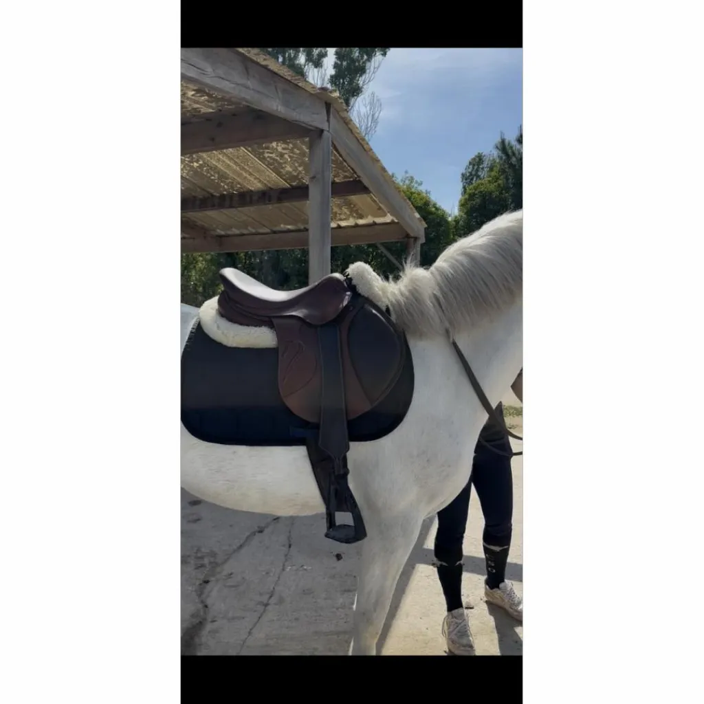 Antares Selles Mixtes>selle active