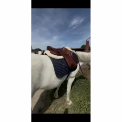Antares Selles Mixtes><noscript><img width=