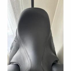 Antares Selles De Dressage><noscript><img width=