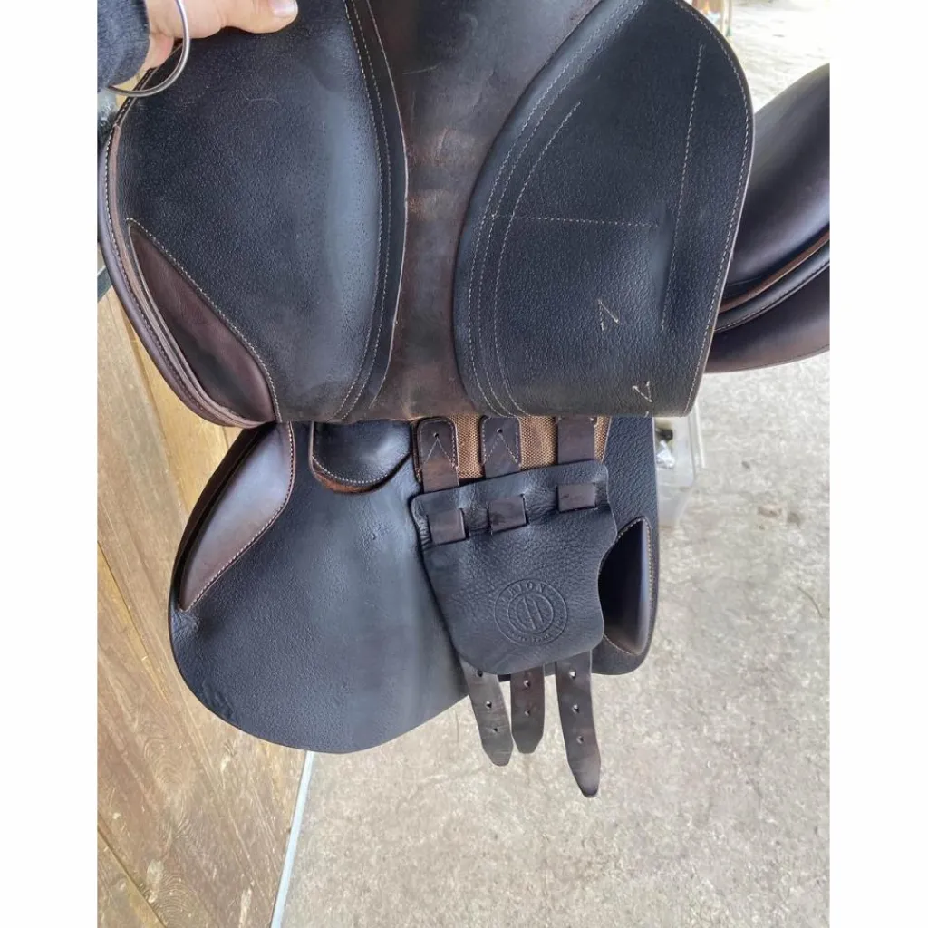 Selle*Arion Best