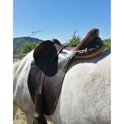 Selle Australienne*- Marque inconnue - New