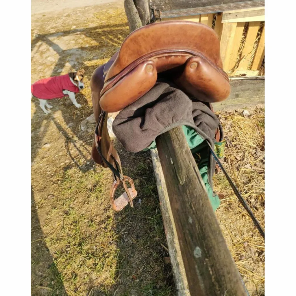 Forestier Selles De Cross>Selle boeckelo de 2003