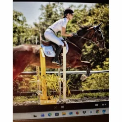 selle Bruno*Delgrange Clearance