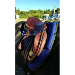 Selle toute équipée*Childeric Sale