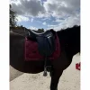 Childeric Selles De Dressage>Selle Childéric