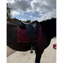 Childeric Selles De Dressage>Selle Childéric