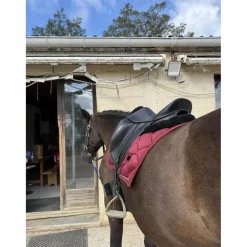 Childeric Selles De Dressage><noscript><img width=