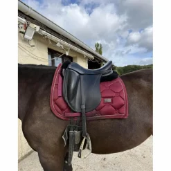 Childeric Selles De Dressage><noscript><img width=