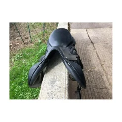 Selle cross*Childeric Best