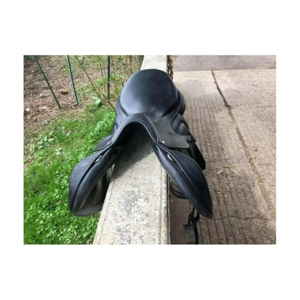 Selle cross*Childeric Best