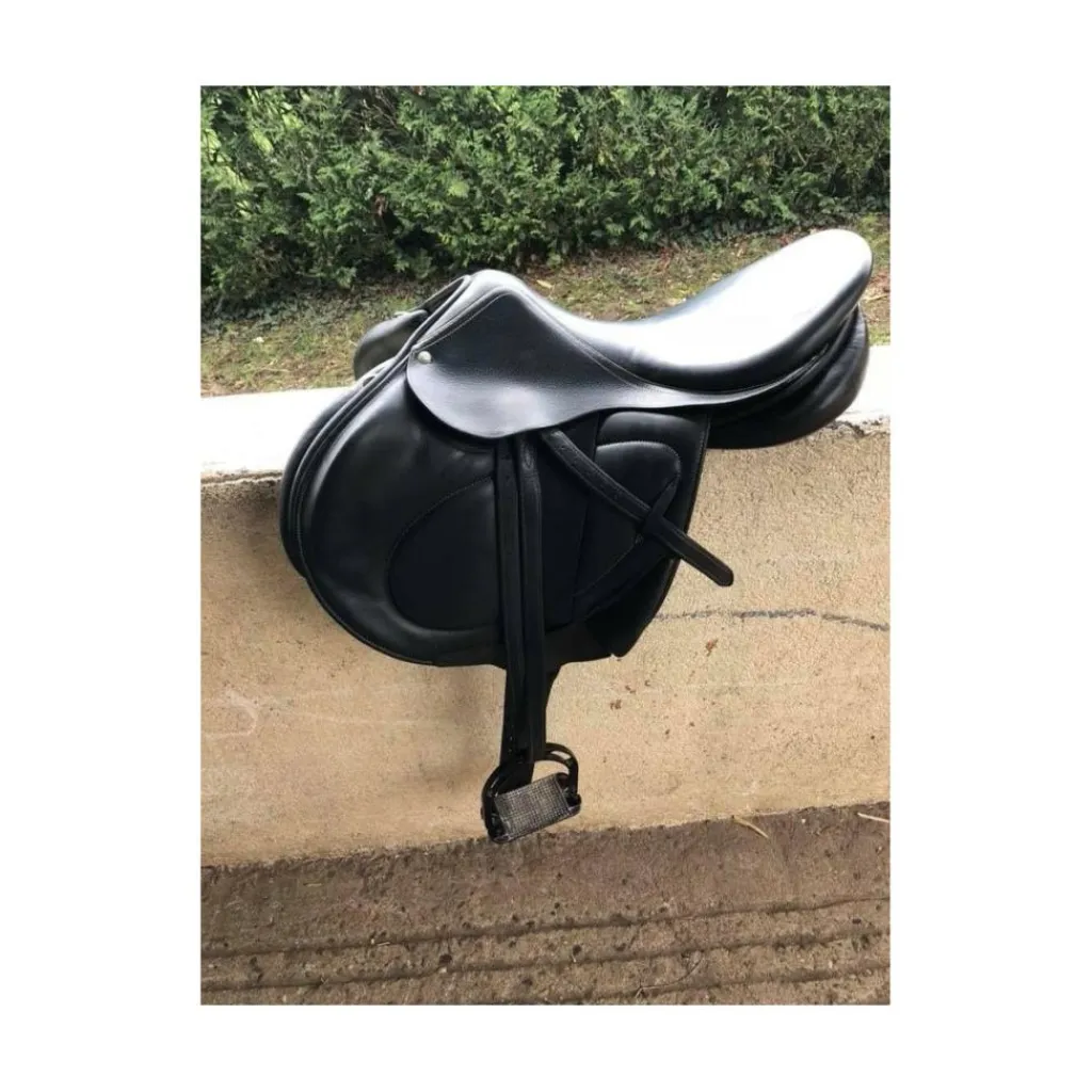 Selle cross*Childeric Best