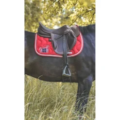 Selle cross fitter*Eric Thomas Sale