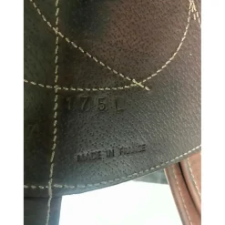 Antares Selles De Cross><noscript><img width=