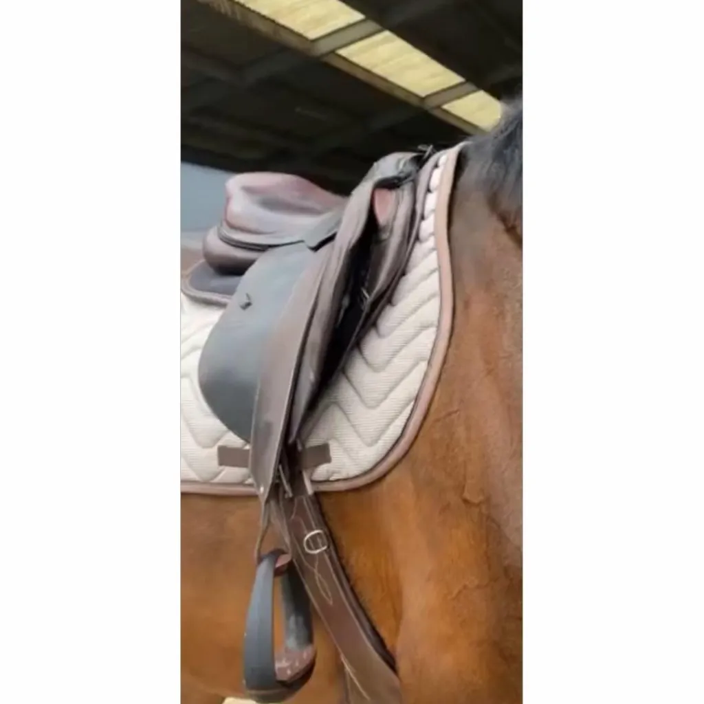 CWD Selles D'Obstacle>Selle