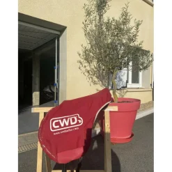 CWD Selles De Cross><noscript><img width=