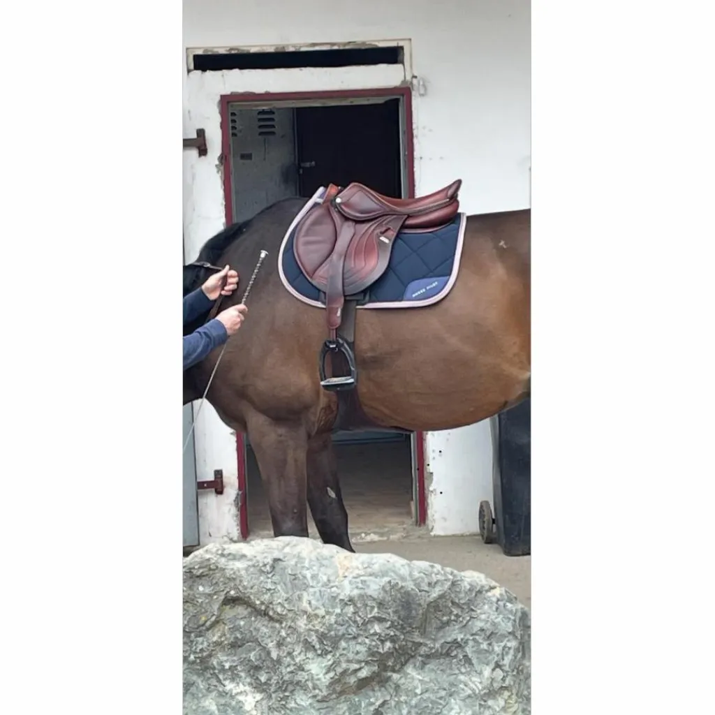 CWD Selles D'Obstacle>Selle