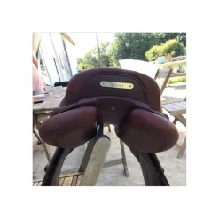 CWD Selles Mixtes><noscript><img width=