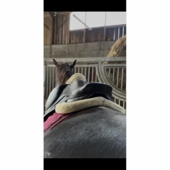 CWD Selles D'Obstacle>Selle