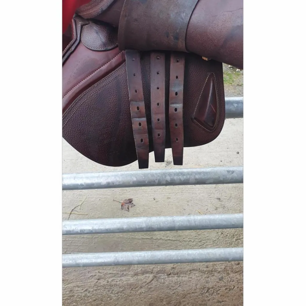 Selle*CWD Best