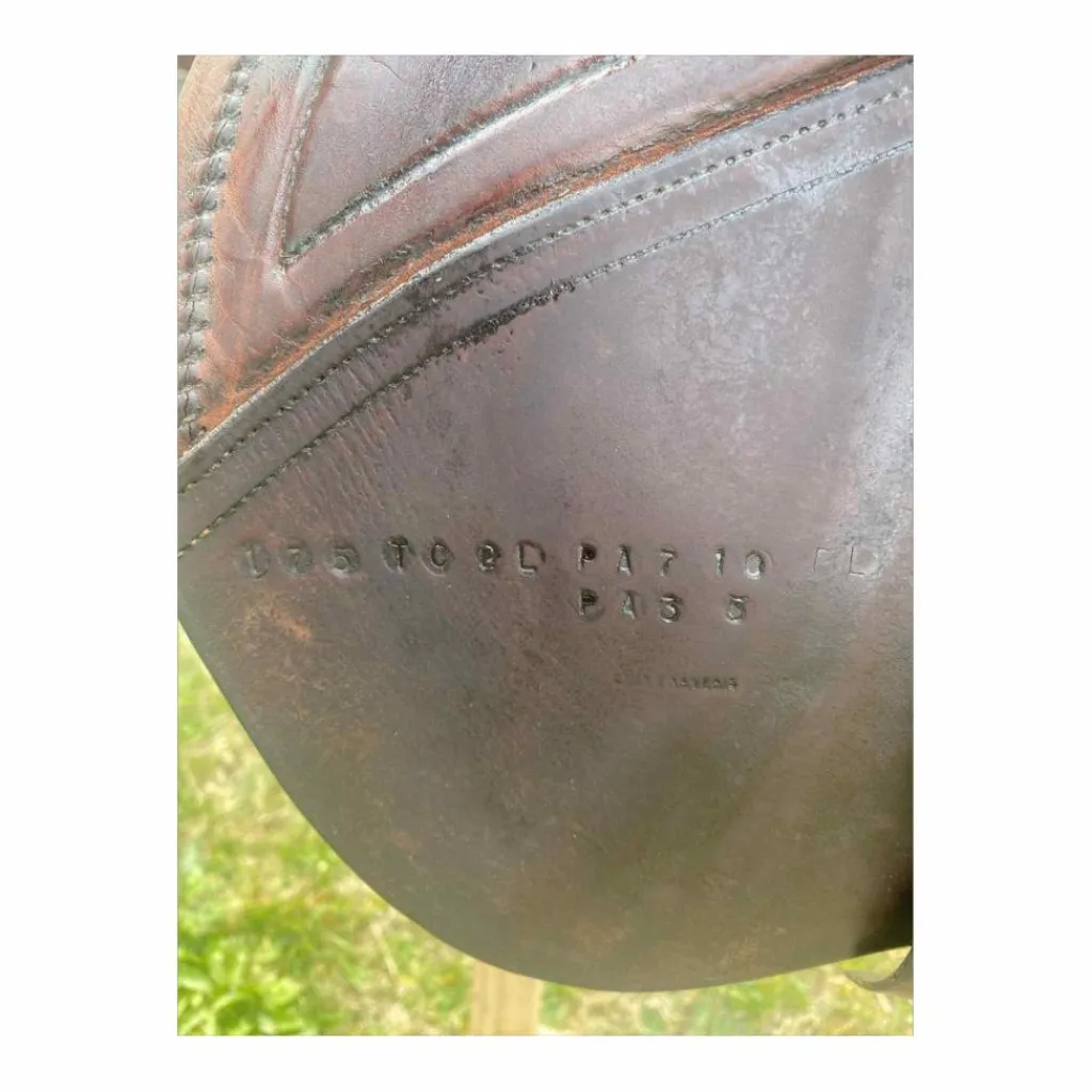 Selle 17.5*CWD
