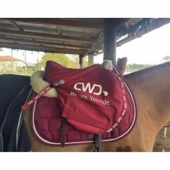 Selle cuir 15,5*CWD Online