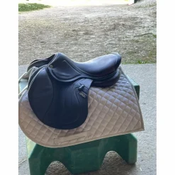 Selle 2gs*CWD Best