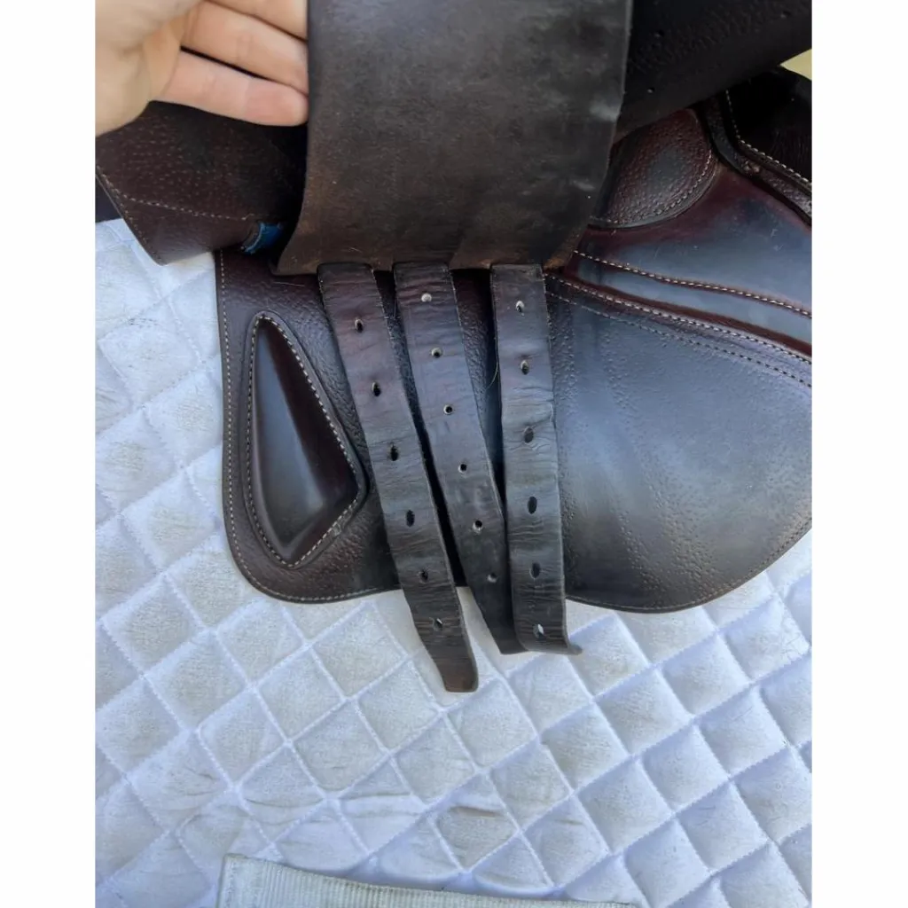 Selle 2gs*CWD Best