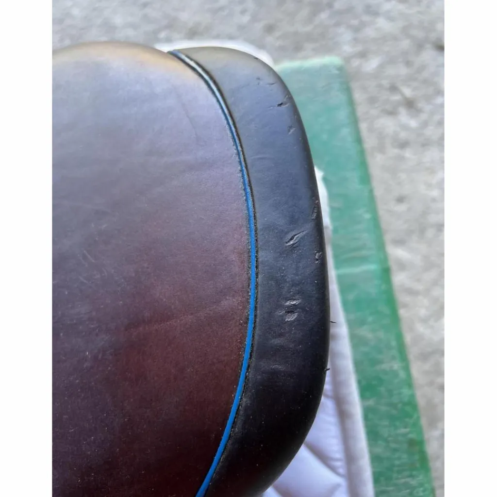 Selle 2gs*CWD Best