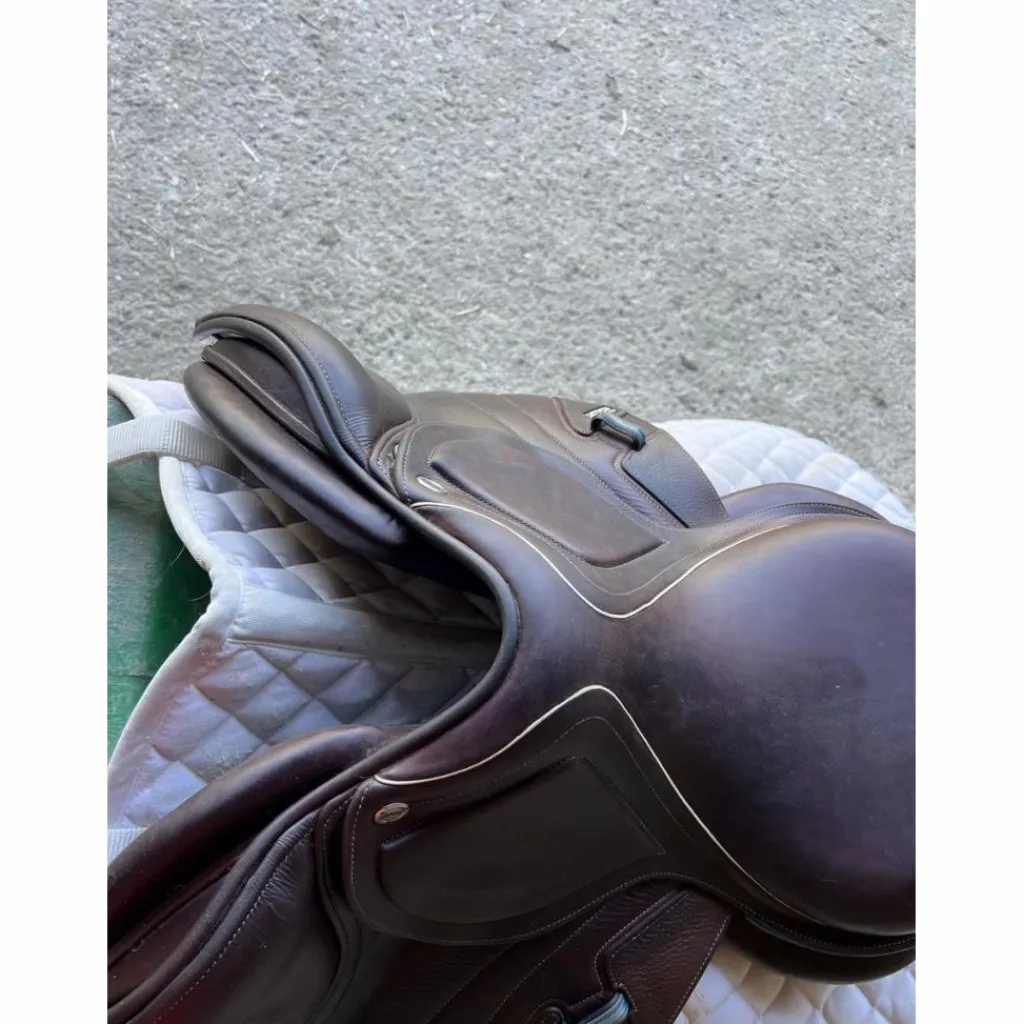 Selle 2gs*CWD Best