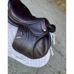 Selle 2gs*CWD Best