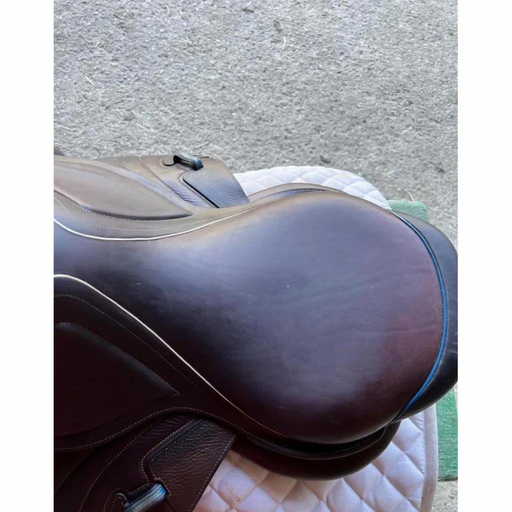 Selle 2gs*CWD Best