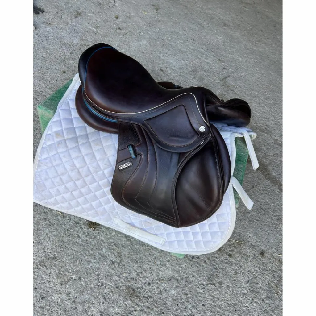 Selle 2gs*CWD Best
