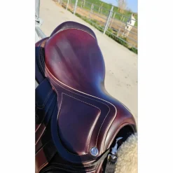 CWD Selles D'Obstacle><noscript><img width=