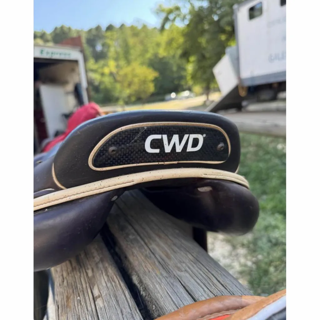 Selle mademoiselle 2gs*CWD Online