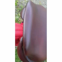 CWD Selles Mixtes><noscript><img width=