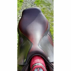 CWD Selles Mixtes><noscript><img width=