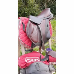 CWD Selles Mixtes><noscript><img width=