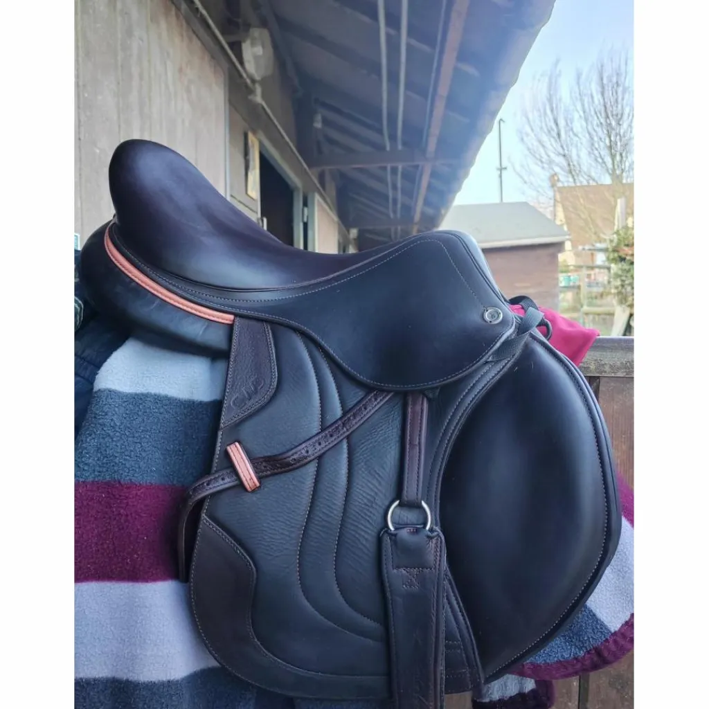 CWD Selles Mixtes>Selle parfait état