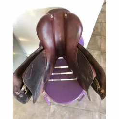 CWD Selles Mixtes><noscript><img width=